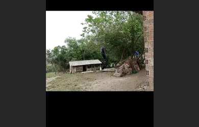 Imagem 7: Sítio em Canguçu RS