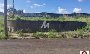 Imagem 2: Terreno (terreno normal