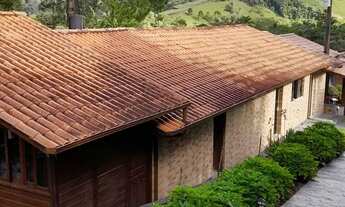 Imagem 3: Sírio em angelina SC