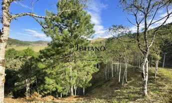 Imagem 3: RANCHO QUEIMADO - Loteamento/Condomínio - Fett