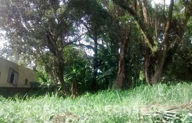 Imagem: Terreno Padrao - Morumbi/Sao Paulo