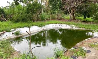 Imagem 7: Vendo sitio aprox 8mil m², no mojo 2 km da sede paço do lumiar