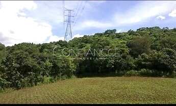 Imagem: Area a venda em Campo Magro - PR