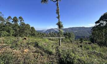 Imagem 7: Área de terra de 27,9 ha com vista panorâmica à venda em Nova Petrópolis na Serra Gaúcha