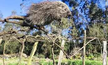 Imagem: Venda Imperdível Terreno Rural de 2,4