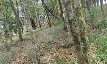 Imagem 3: Terreno à venda, VILA GUARANI , COLOMBO - PR
