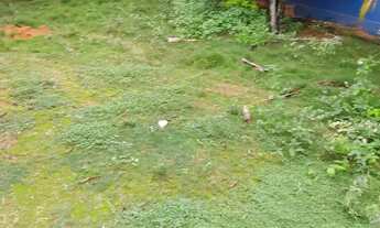 Imagem 3: Venda-se está propriedade de 5 Alqueires no Município de Atílio Vivacqua/ES