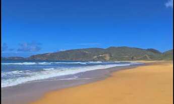 Imagem 7: Disponível Réveillon e Carnaval