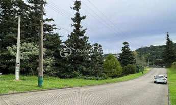 Imagem 4: TERRENO COM VISTA PERENE PARA O VALE