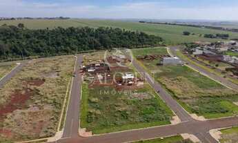 Imagem 6: Terreno à Venda no Residencial Pimenta  200 m  Maringá PR