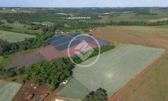 Imagem 3: Chácara Completa e Produtiva 7,2 Alqueires com 9 Açudes de Tilápias e Potencial para Lote