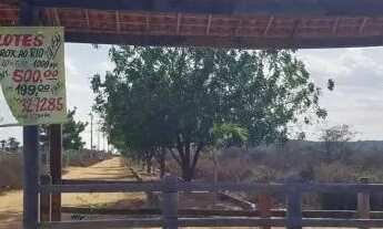 Imagem 4: 02 TEREENOS (IDEAL PARA MINI CHÁCARA) MEDINDO 2000 M²