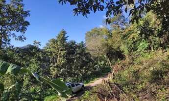 Imagem 6: Sítio / Chácara para Venda em Picada Café, Serra Verde