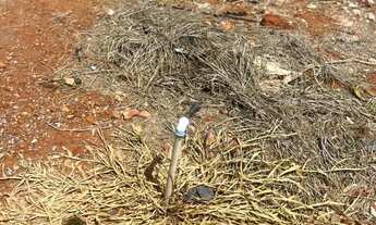 Imagem 6: Vendo Lote no Recanto das Emas