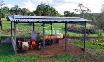 Imagem 6: Fazenda 217.5 alqueires ( 1.052,7 hectares ) Itapirapuã GO