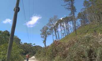 Imagem: Terreno com ribeirao 65 mil reais