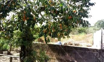 Imagem 7: Chácara em Rua José Ruiz Martins - Mogi das Cruzes - Mogi das Cruzes/SP