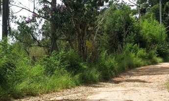 Imagem 2: Área à venda, 42906 m² por R$ 1.500.000,00 - Bairro do Tijuco Preto - Cotia/SP