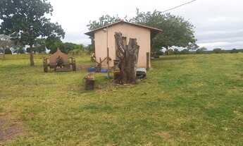 Imagem 7: Fazenda de 290 Hectares em AcorizalMT