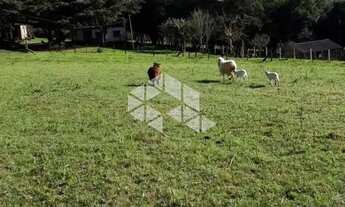 Imagem 4: Terreno Urbano à venda Estrada da Capororoca Viamão RS