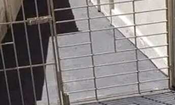 Imagem 7: PARQUE CELESTE - CASA RESIDENCIAL 2 DORMITÓRIOS C/ GARAGEM PROX. HOSPITAL ESCOLA