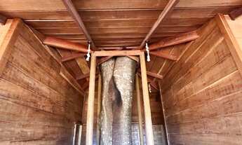 Imagem 4: Chácara 2000m², Casa de Madeira, 3Q, Área Gourmet, Piscina, Tanque Peixe, Aragoiânia