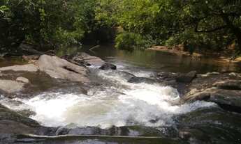 Imagem 2: Vendo Chácara com Cachoeira
