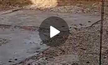 Imagem 4: Casa e quintal no fundo