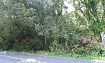 Imagem 6: 3 Lotes sendo dois de 20.000 m² e um de 26.000 m² a partir de R$ 1.500.000 Ferraria Ca