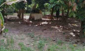 Imagem 3: Vendo sítio em monte gordo