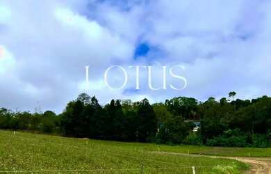 Imagem 3: 86C- APROVEITE AS CONDIÇÕES DOS TERRENOS EM COTIA!