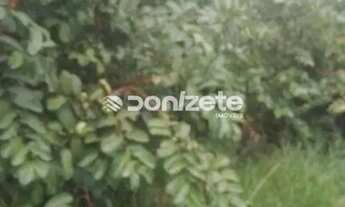 Imagem 5: Terreno à venda, 330 m² por R$ 1.060.000,00 - Vila Floresta - Santo André/SP