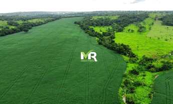 Imagem 2: Fazenda 52 Alqueires Ipameri - GO