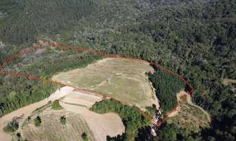Imagem: Chácara Boa Vista Campo Largo 52.500m²,lavoura