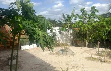 Imagem 7: Vendo casa em localização privilegiada em Barreirinhas: Lençóis Maranhenses
