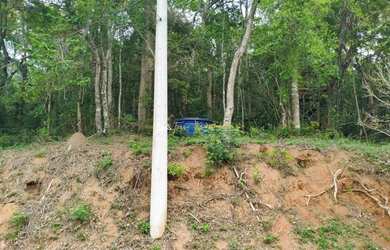 Imagem 2: Lote à Venda no Bairro Barreirinho - Santo Antônio do Pinhal SP