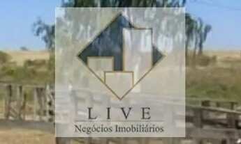 Imagem 7: Fazenda à venda, Veredas, João Pinheiro, MG