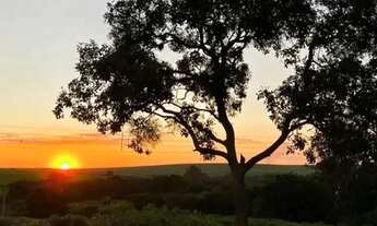 Imagem: Terreno murado e documentado