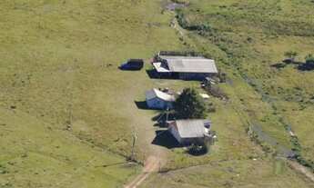 Imagem 4: Fazenda à venda, Fazenda do Barrocão, São Francisco de Paula, RS