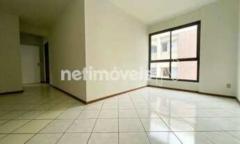 Imagem 6: Lindo e Amplo 02 Qtos Elevador Oportunidade Única