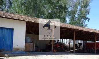 Imagem 5: Fazenda à venda, Veredas, João Pinheiro, MG