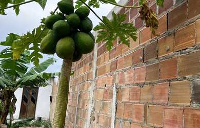 Imagem 6: VENDO TERRENO CONSTRUÍDO NA ASA BRANCA