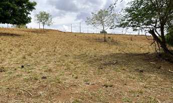 Imagem 4: Venda Terreno Terreno / lote com venda por R$250.000