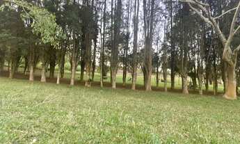 Imagem 5: Conquiste Seu Terreno dos Sonhos em Ibiúna SP