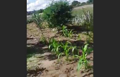 Imagem: Fazenda Maria Preta Tem Conversa