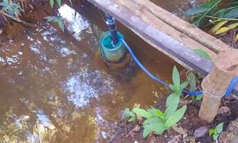 Imagem 5: Vendo Chácara no município de Nerópolis 2.500 m²