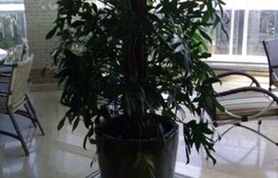 Imagem 8: Apartamento, Jardim Anália Franco - São Paulo