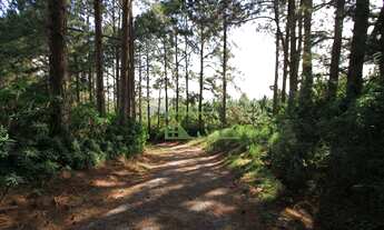 Imagem 6: Fazenda com 5 dormitórios à venda, 726000 m² por R$ 3.400.000,00 - Zona Rural - Piedade/SP