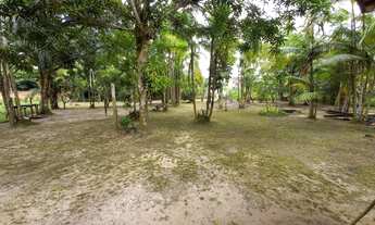 Imagem: VENDA/TERRENO