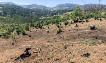 Imagem 6: Troco meu terreno celta,vectra